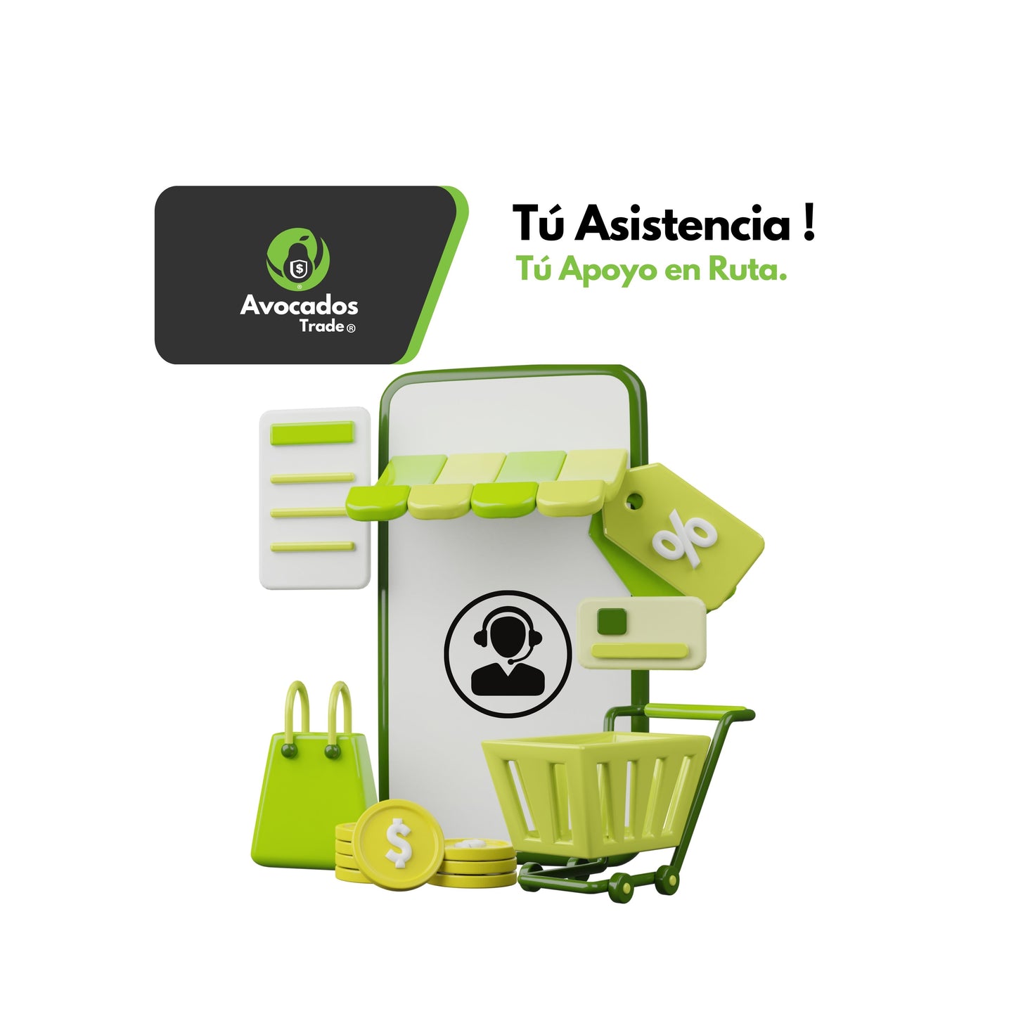 E - Commerce de Palta Hass: Inicia tú Negocio !