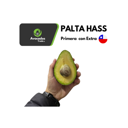 Palta Hass Chilena | "Ready to Eat": Calidad Extra - Primera (1 kg).