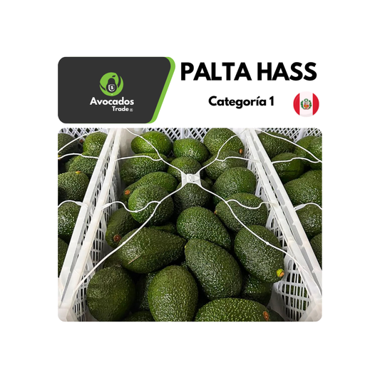 Palta Hass Perú | Premadura: Categoría 1 (10 kg).